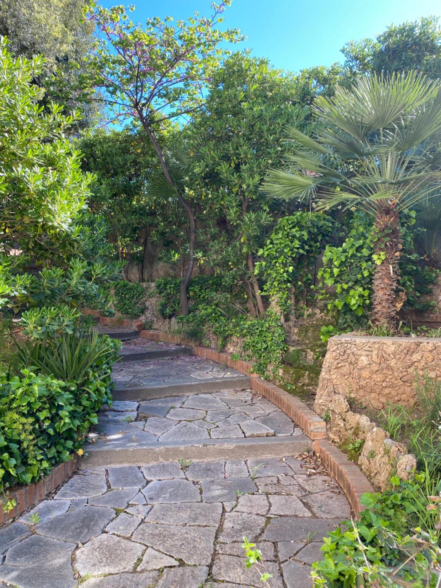 Villa Il Boschetto Σαν Βιντσέντσο Εξωτερικό φωτογραφία