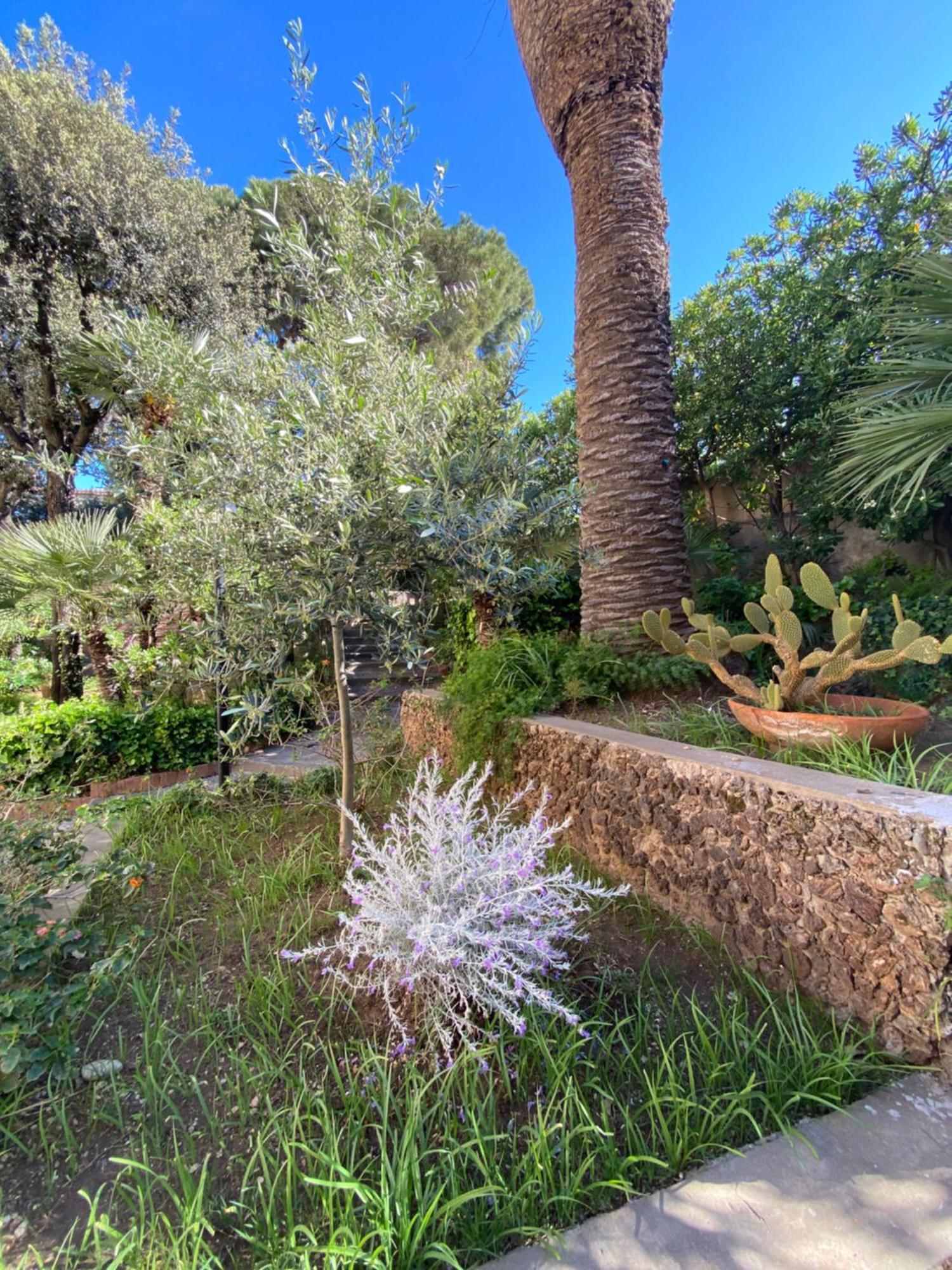 Villa Il Boschetto Σαν Βιντσέντσο Εξωτερικό φωτογραφία
